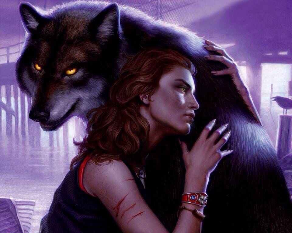 alpha werewolf x reader
