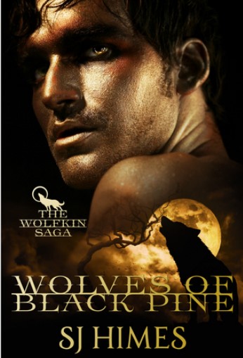 gay werewolf novel wolves of black pine