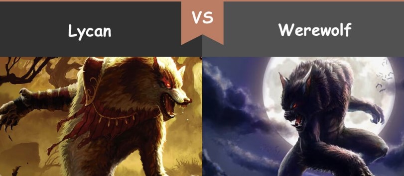 gaint lycan vs werewolf