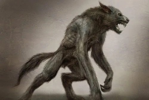 Werewolf Transformation Facts That Will Blow Your Minds