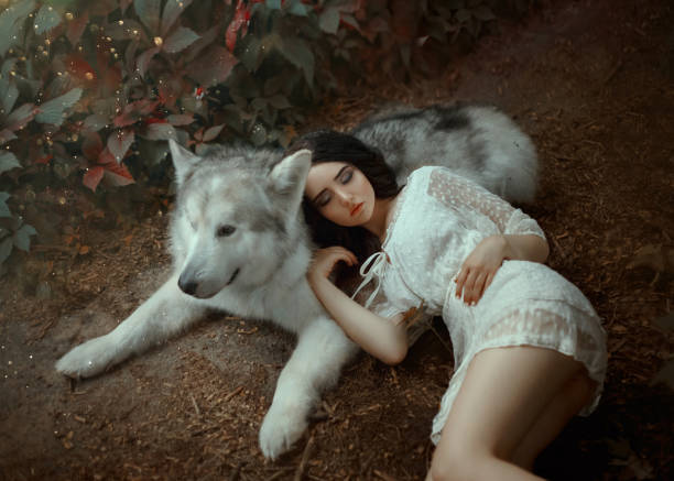 Top 12 Wonderful Werewolf and Human Romance Books