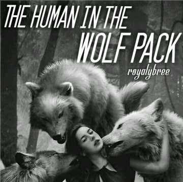 human and werewolf romance the human in the wolf pack
