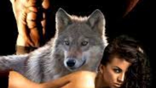 Werewolf Book for Adults: Linger by Maggie Stiefvater