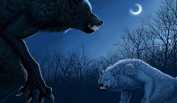 adult werewolf book shifter wars