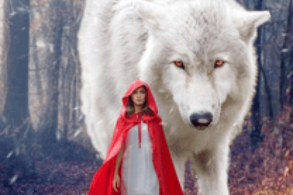 Fantast,-Adventure-Stories-For-Youn-Adult-Alpha's-Lycan-Mate