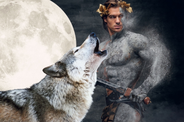 Best Werewolf Romance: Her Unwanted Mate On The Throne