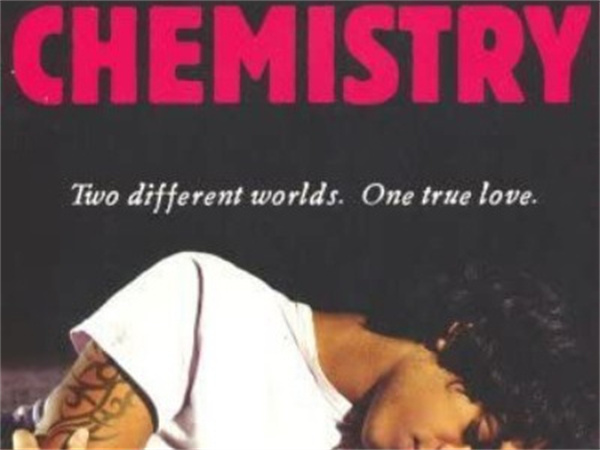 Books About Italian Mafia (Perfect Chemistry)