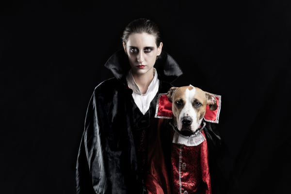 A lady dhampir - Blanche character ( dog)
