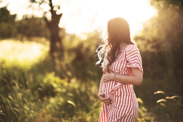 He Stole My Heart, I Stole His Child Dreame