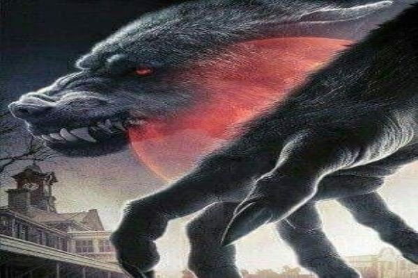 My Werewolf system - chapter 2