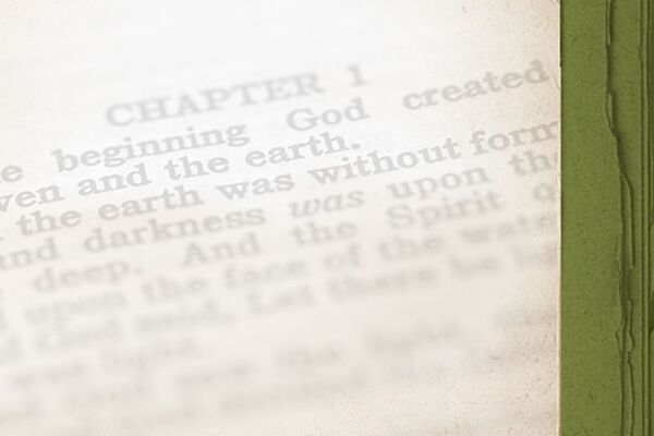 Destroying My Own Novel - Storyline