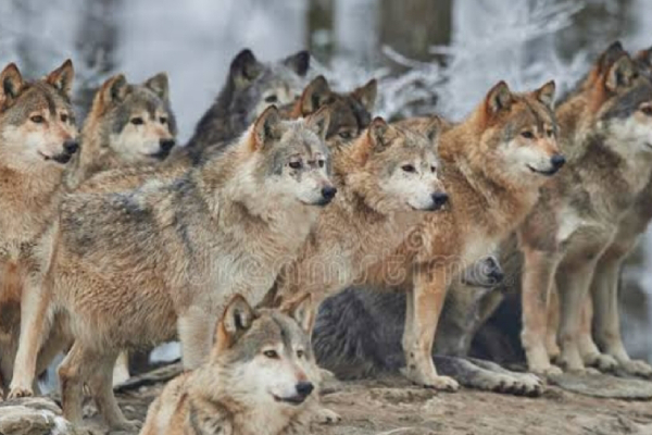 Soul Taken - Exciting plot