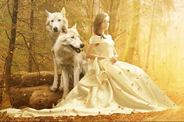 My-Destined-Alpha-Mate