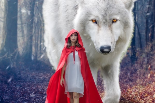 Book Review: The Female Warrior and the Alpha