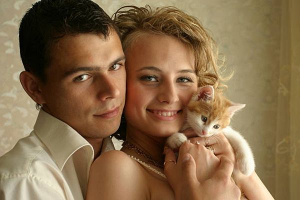 A World Ruled by Cats: Sample Chapters