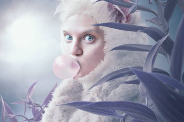 A World Ruled by Cats