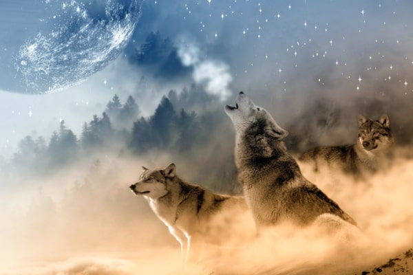 shattering-the-alpha