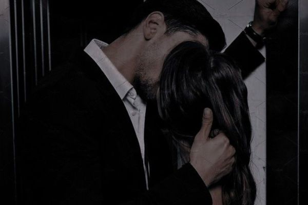 son-in-law-revenge-novel