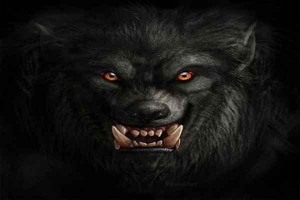The Devourers Werewolves