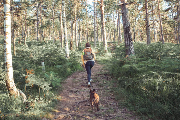 Welcome Home Mate Female Walk In Forest 