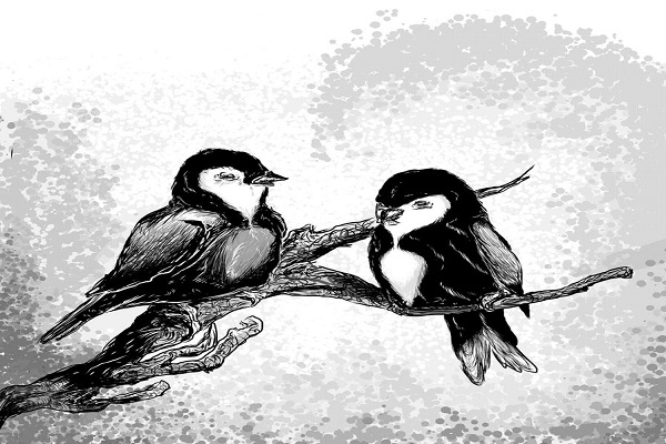 Hot Chapters of Cavier Falcon Princess