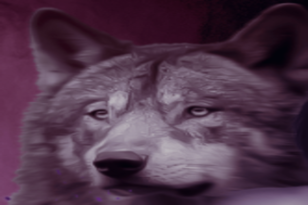 Surprisingly Enticing: Can’t Let You Go, Mate