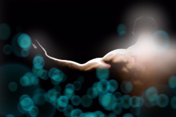 god-level-store-manager-cover