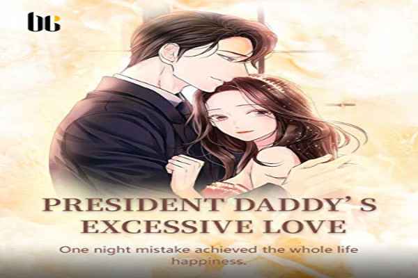 President Daddy's Excessive Love Book Cover