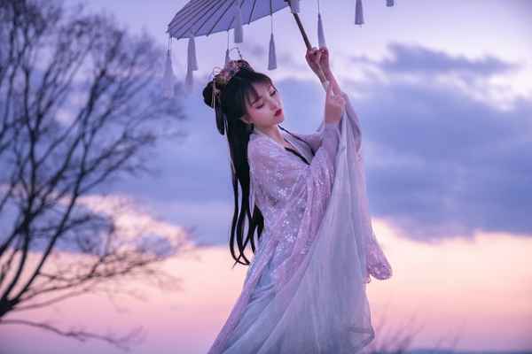 Stunning Poisonous Doctor Princess'Su Qingge