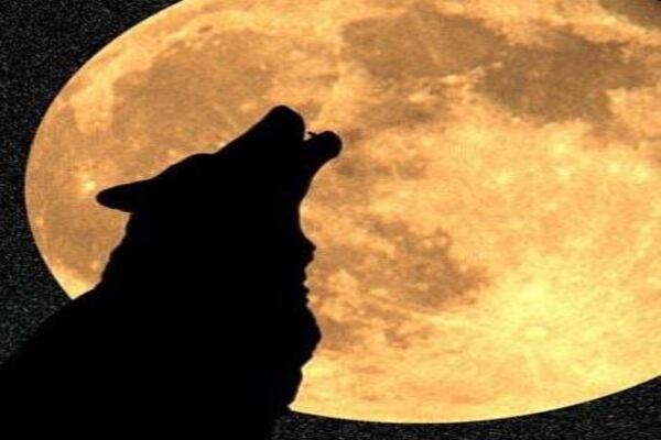Werewolf Howling At Moon