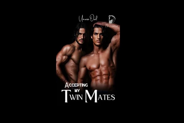 accepting-my-twin-mates-book-review