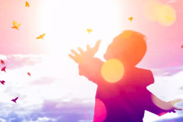 Fey Evolution Merchant: Happy Lin Yuan