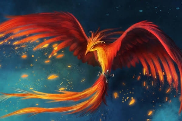 godly-empress-doctor-true-phoenix