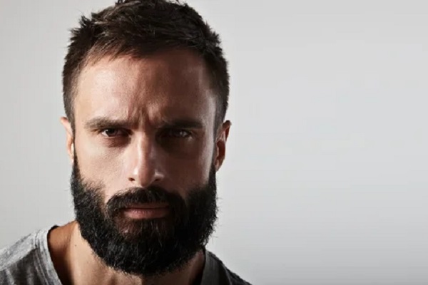 Grávida de um Mafioso livro parecido