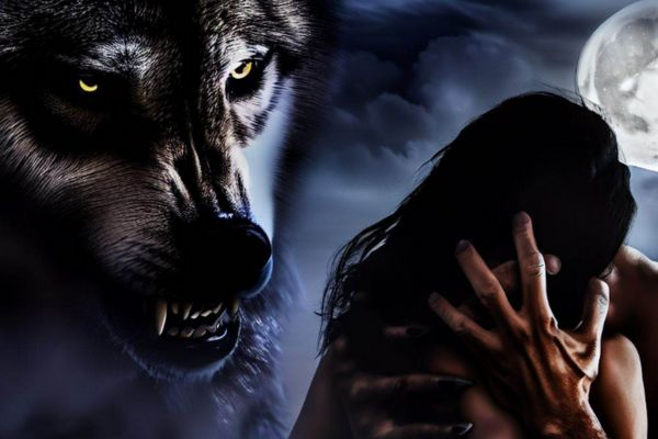 The Alphas Rejected Heir