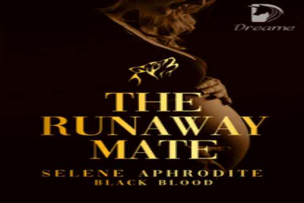 The Billionaire's Runaway Lover Similar Book