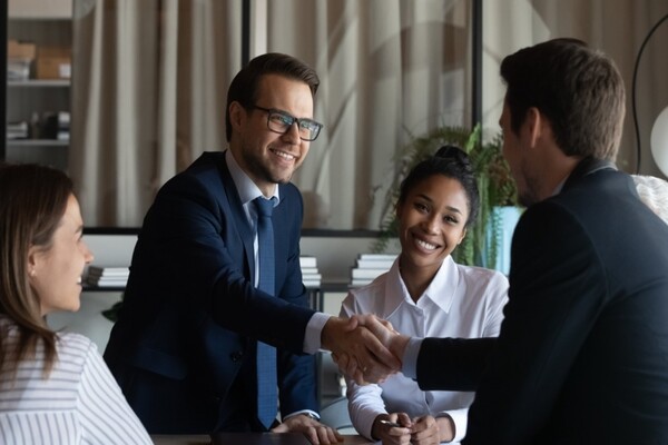 Unlimited Son-In-Law- Plot