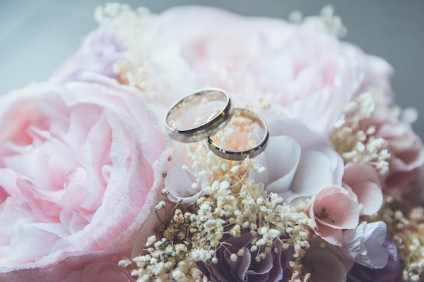 Melinda President Fox's Love Chapter 1