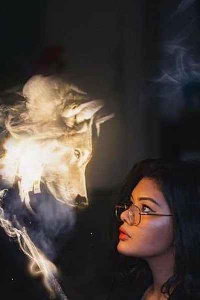 The Awakening Of The Alpha King's Luna Character Harley