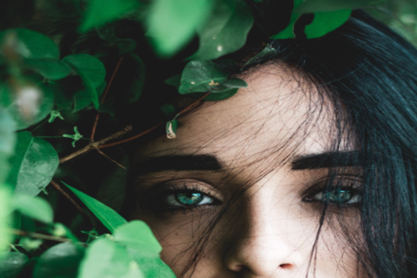 the-broken-wolf-cover